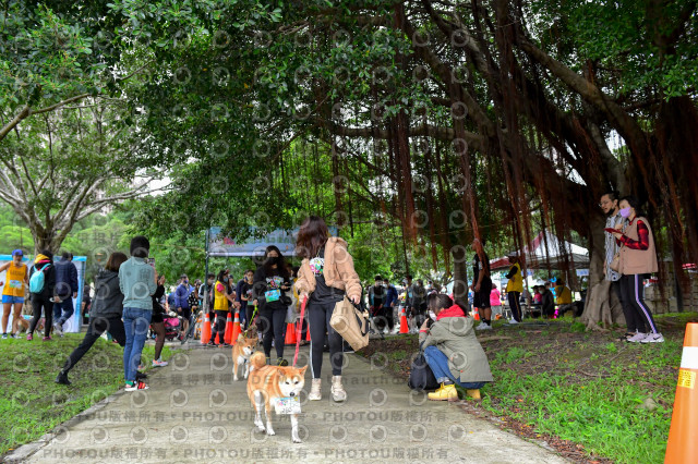 2021第四屆奔跑吧!毛小孩路跑綠寶石寵物公園場