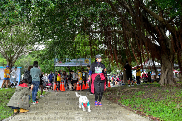 2021第四屆奔跑吧!毛小孩路跑綠寶石寵物公園場