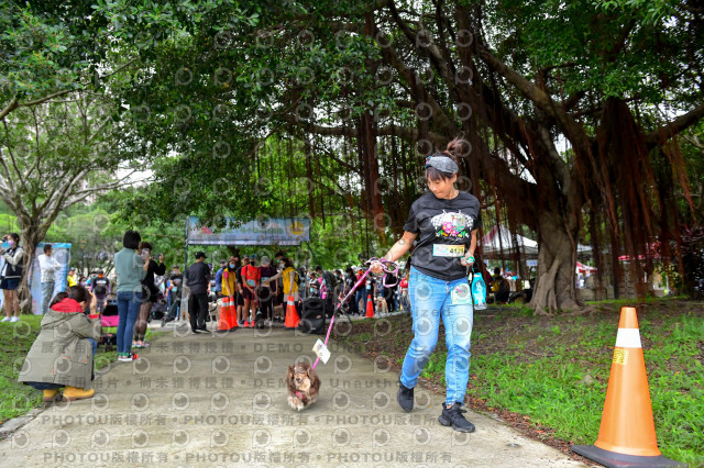 2021第四屆奔跑吧!毛小孩路跑綠寶石寵物公園場