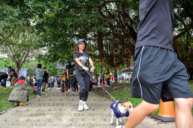 2021第四屆奔跑吧!毛小孩路跑綠寶石寵物公園場