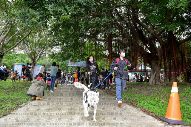 2021第四屆奔跑吧!毛小孩路跑綠寶石寵物公園場