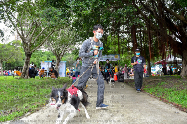 2021第四屆奔跑吧!毛小孩路跑綠寶石寵物公園場