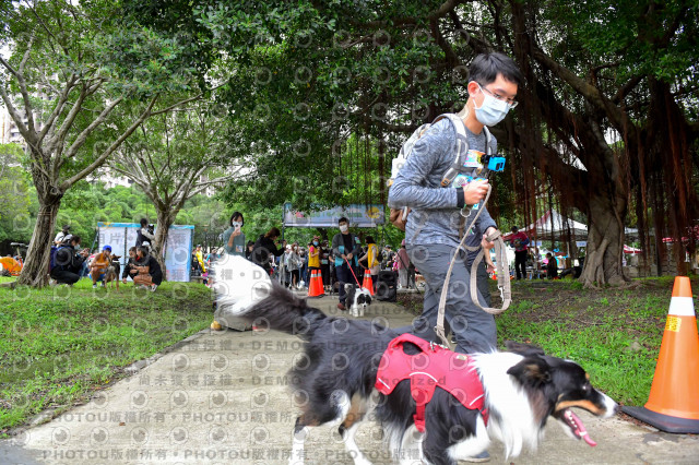 2021第四屆奔跑吧!毛小孩路跑綠寶石寵物公園場