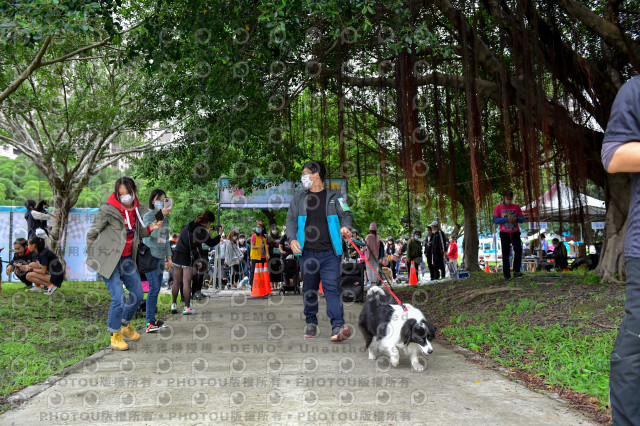 2021第四屆奔跑吧!毛小孩路跑綠寶石寵物公園場