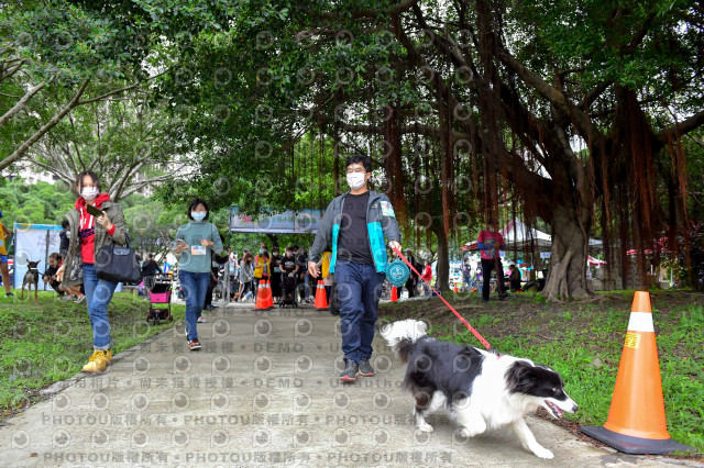 2021第四屆奔跑吧!毛小孩路跑綠寶石寵物公園場