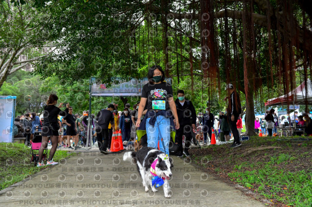 2021第四屆奔跑吧!毛小孩路跑綠寶石寵物公園場