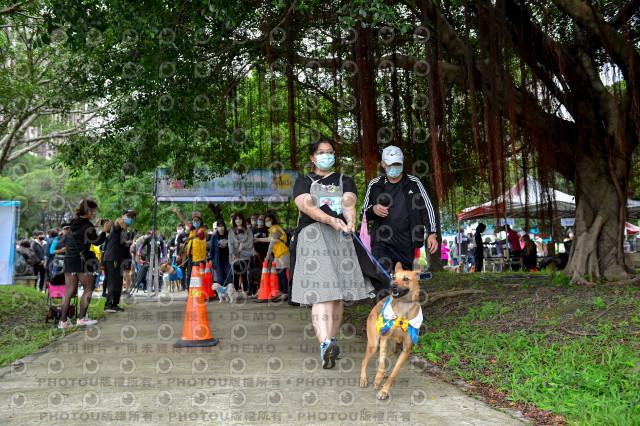 2021第四屆奔跑吧!毛小孩路跑綠寶石寵物公園場