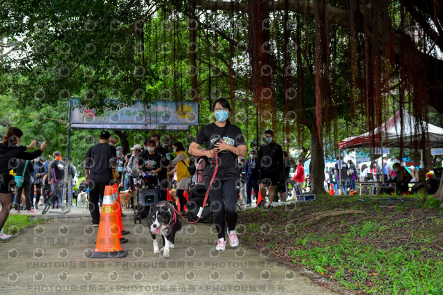 2021第四屆奔跑吧!毛小孩路跑綠寶石寵物公園場