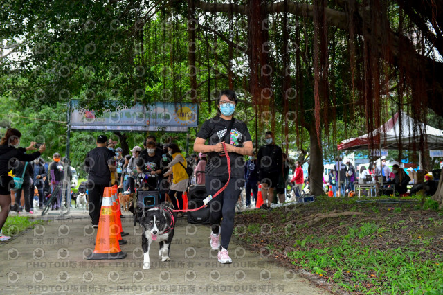 2021第四屆奔跑吧!毛小孩路跑綠寶石寵物公園場