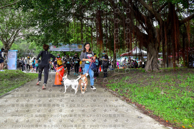 2021第四屆奔跑吧!毛小孩路跑綠寶石寵物公園場