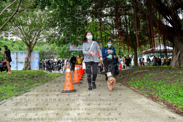 2021第四屆奔跑吧!毛小孩路跑綠寶石寵物公園場