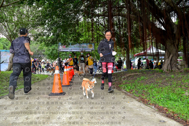 2021第四屆奔跑吧!毛小孩路跑綠寶石寵物公園場