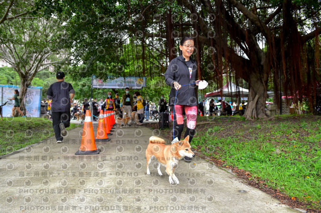 2021第四屆奔跑吧!毛小孩路跑綠寶石寵物公園場