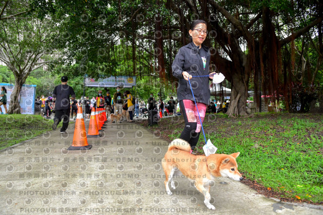 2021第四屆奔跑吧!毛小孩路跑綠寶石寵物公園場