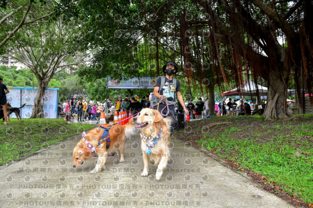 2021第四屆奔跑吧!毛小孩路跑綠寶石寵物公園場