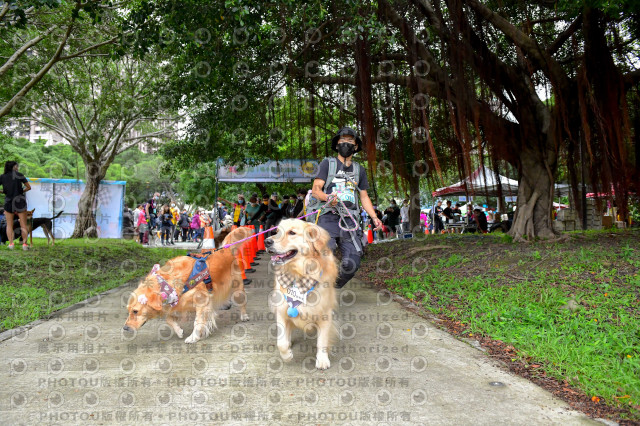 2021第四屆奔跑吧!毛小孩路跑綠寶石寵物公園場