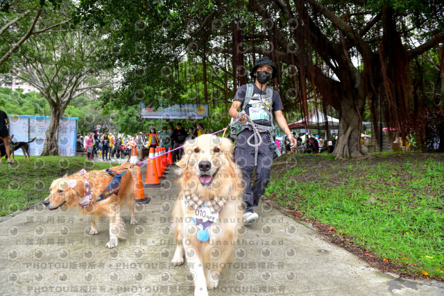 2021第四屆奔跑吧!毛小孩路跑綠寶石寵物公園場