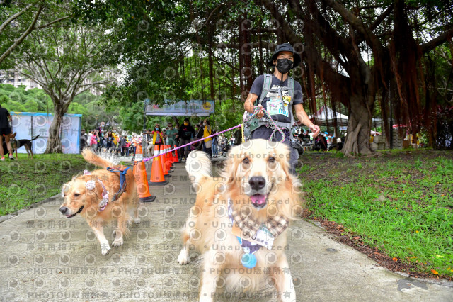 2021第四屆奔跑吧!毛小孩路跑綠寶石寵物公園場