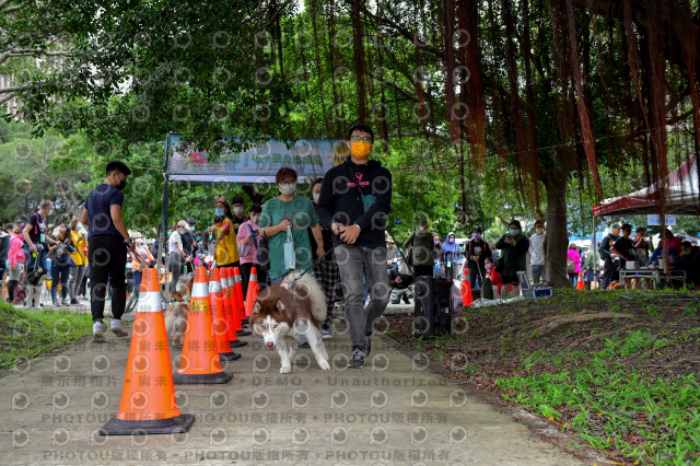 2021第四屆奔跑吧!毛小孩路跑綠寶石寵物公園場