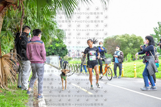 2021第四屆奔跑吧!毛小孩路跑綠寶石寵物公園場