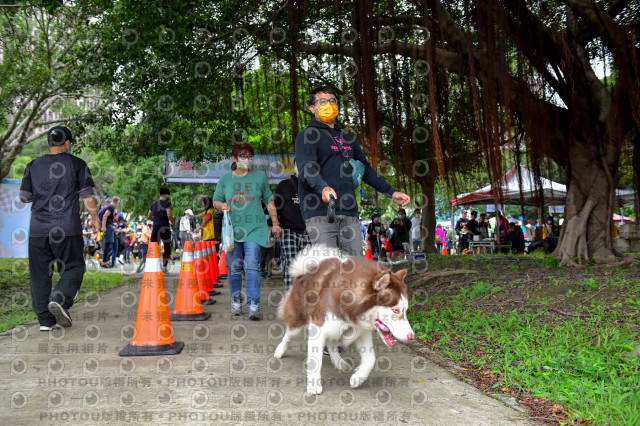 2021第四屆奔跑吧!毛小孩路跑綠寶石寵物公園場