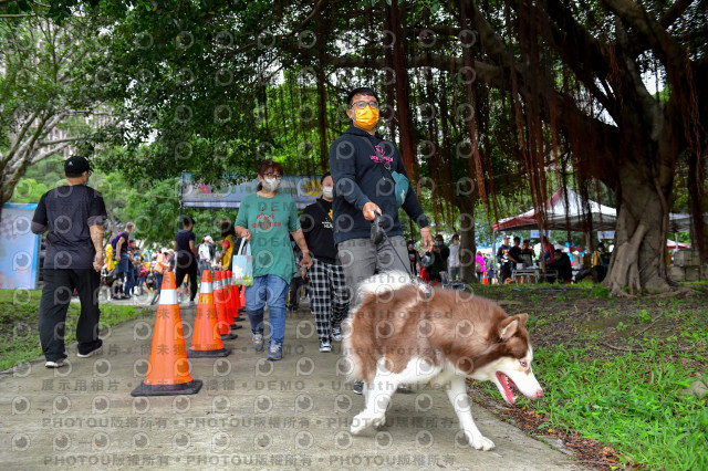 2021第四屆奔跑吧!毛小孩路跑綠寶石寵物公園場