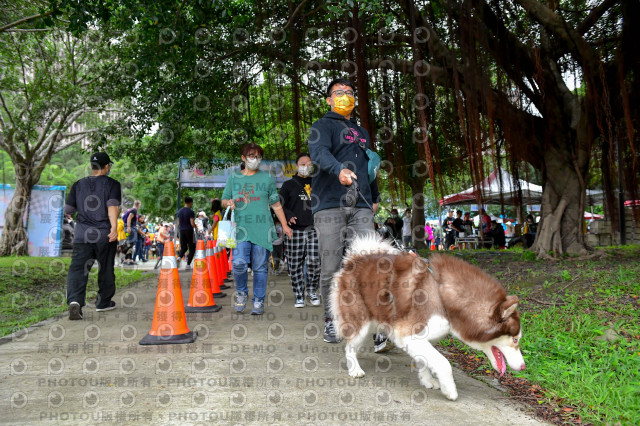 2021第四屆奔跑吧!毛小孩路跑綠寶石寵物公園場