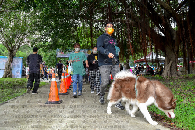 2021第四屆奔跑吧!毛小孩路跑綠寶石寵物公園場