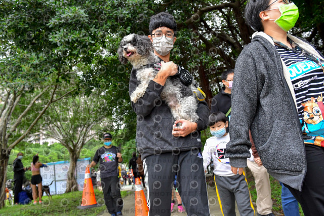 2021第四屆奔跑吧!毛小孩路跑綠寶石寵物公園場