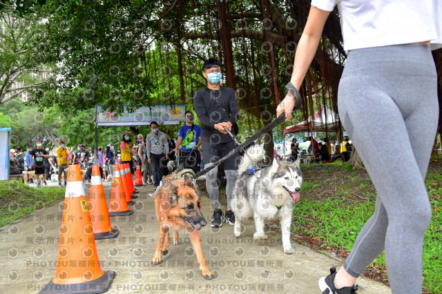 2021第四屆奔跑吧!毛小孩路跑綠寶石寵物公園場