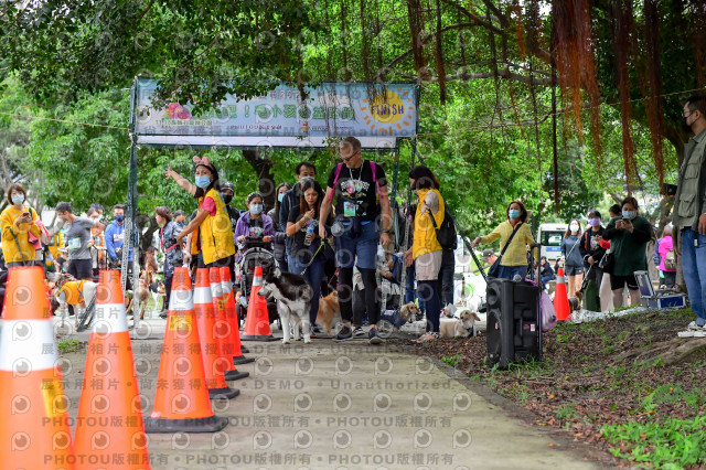 2021第四屆奔跑吧!毛小孩路跑綠寶石寵物公園場