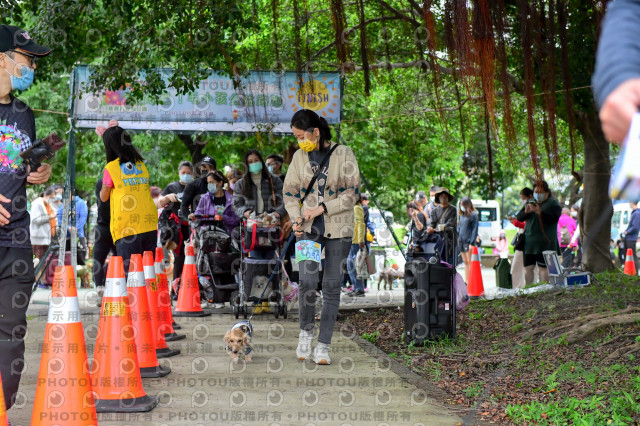 2021第四屆奔跑吧!毛小孩路跑綠寶石寵物公園場