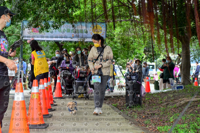 2021第四屆奔跑吧!毛小孩路跑綠寶石寵物公園場
