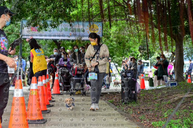 2021第四屆奔跑吧!毛小孩路跑綠寶石寵物公園場