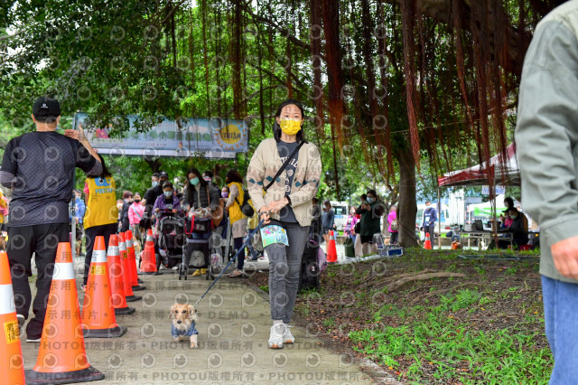 2021第四屆奔跑吧!毛小孩路跑綠寶石寵物公園場