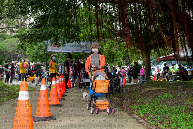 2021第四屆奔跑吧!毛小孩路跑綠寶石寵物公園場