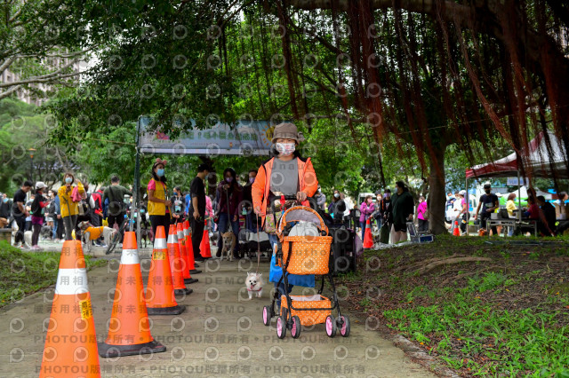 2021第四屆奔跑吧!毛小孩路跑綠寶石寵物公園場