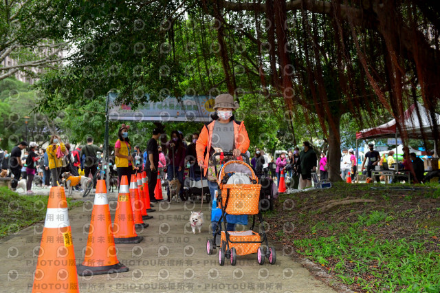 2021第四屆奔跑吧!毛小孩路跑綠寶石寵物公園場