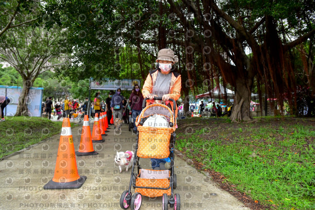 2021第四屆奔跑吧!毛小孩路跑綠寶石寵物公園場