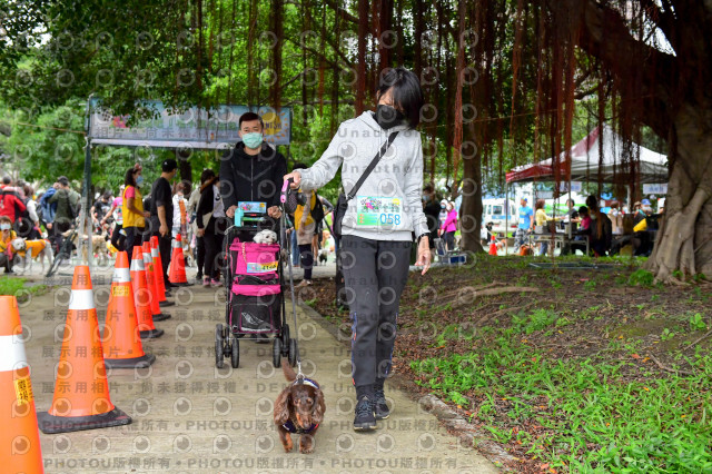 2021第四屆奔跑吧!毛小孩路跑綠寶石寵物公園場