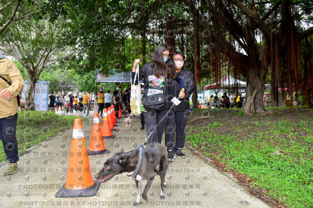 2021第四屆奔跑吧!毛小孩路跑綠寶石寵物公園場