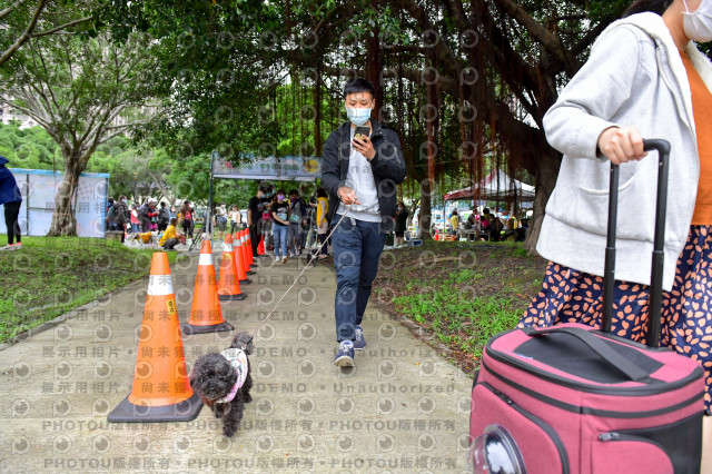 2021第四屆奔跑吧!毛小孩路跑綠寶石寵物公園場