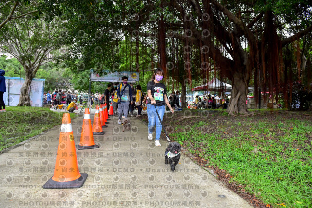 2021第四屆奔跑吧!毛小孩路跑綠寶石寵物公園場