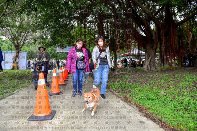 2021第四屆奔跑吧!毛小孩路跑綠寶石寵物公園場