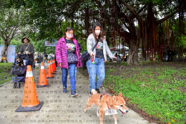 2021第四屆奔跑吧!毛小孩路跑綠寶石寵物公園場