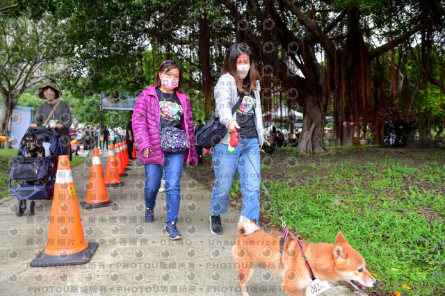 2021第四屆奔跑吧!毛小孩路跑綠寶石寵物公園場