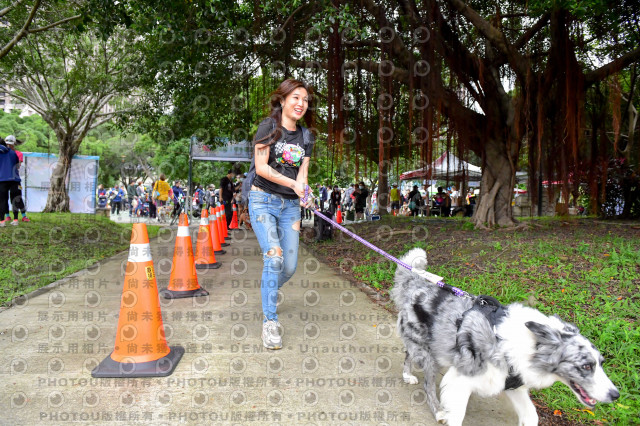 2021第四屆奔跑吧!毛小孩路跑綠寶石寵物公園場