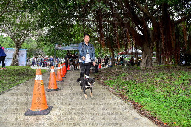 2021第四屆奔跑吧!毛小孩路跑綠寶石寵物公園場