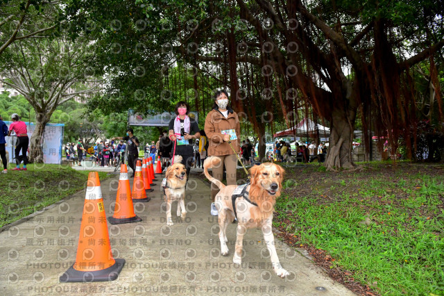 2021第四屆奔跑吧!毛小孩路跑綠寶石寵物公園場