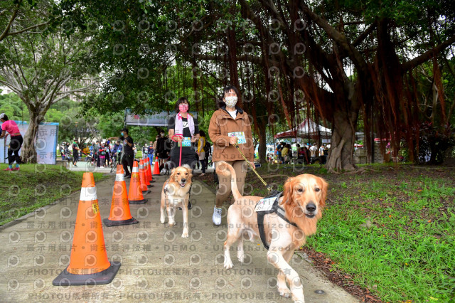 2021第四屆奔跑吧!毛小孩路跑綠寶石寵物公園場